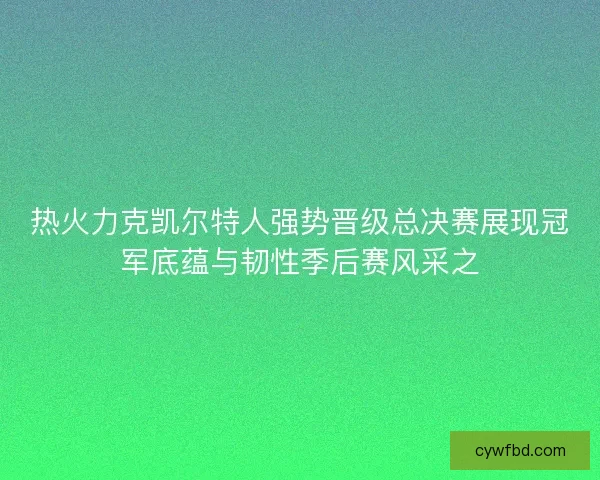 热火力克凯尔特人强势晋级总决赛展现冠军底蕴与韧性季后赛风采之