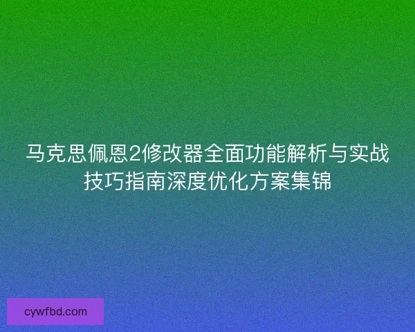 马克思佩恩2修改器全面功能解析与实战技巧指南深度优化方案集锦